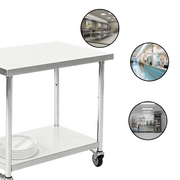 Mobile Stainless Steel 2-Tier Worktable with Custom Casters